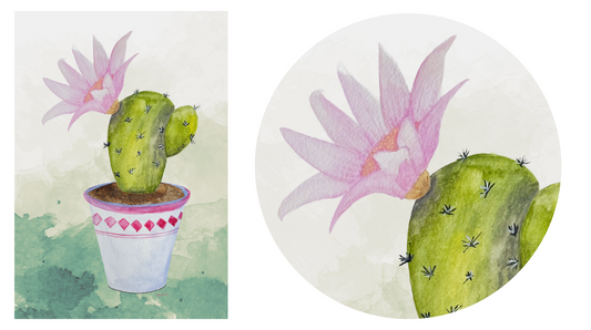 Two illustrations of a cactus with pink flowers, one in a pot - full artwork visible on the left, and the other one is a magnified version of the one on the left.