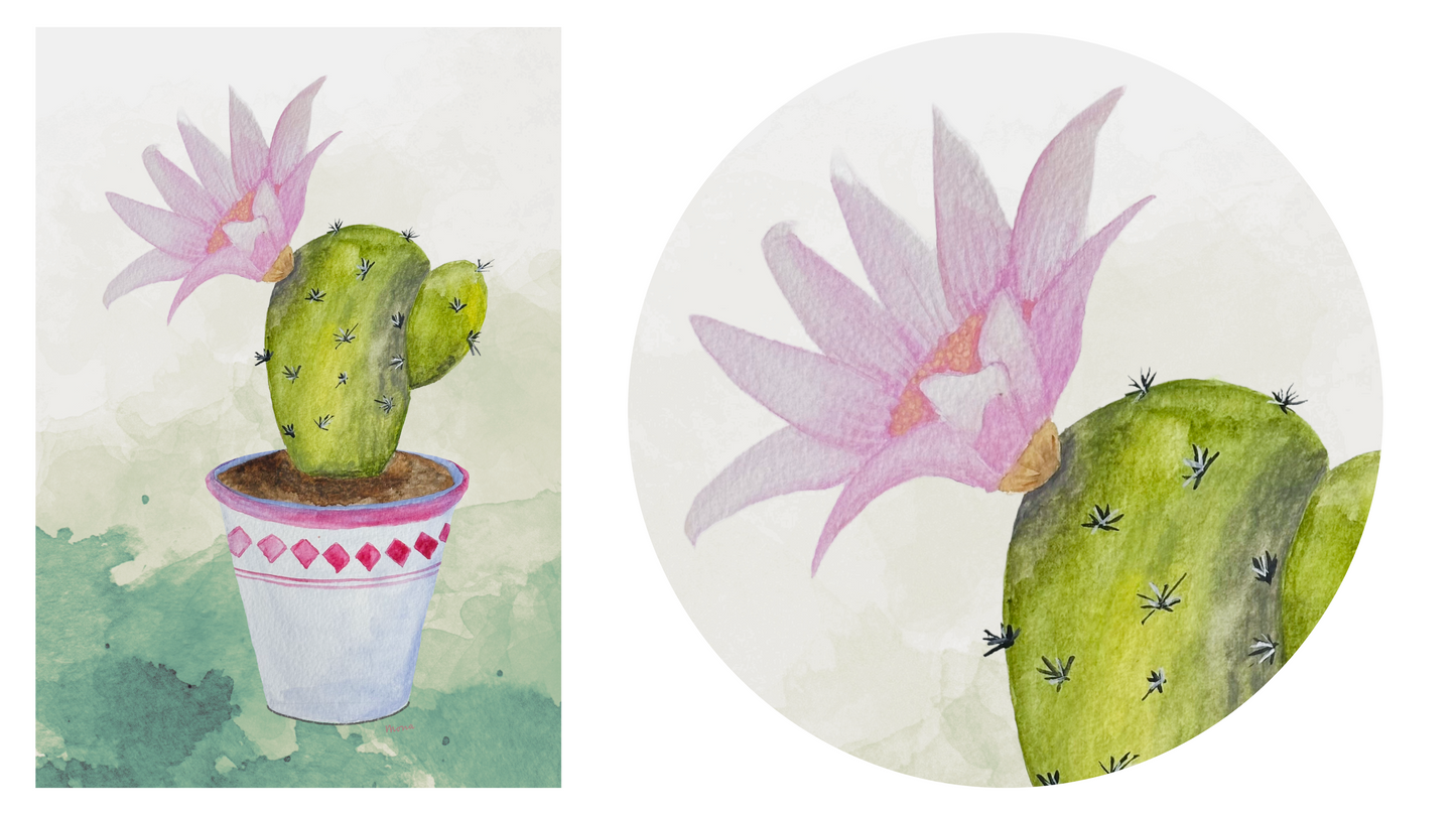 Two illustrations of a cactus with pink flowers, one in a pot - full artwork visible on the left, and the other one is a magnified version of the one on the left.