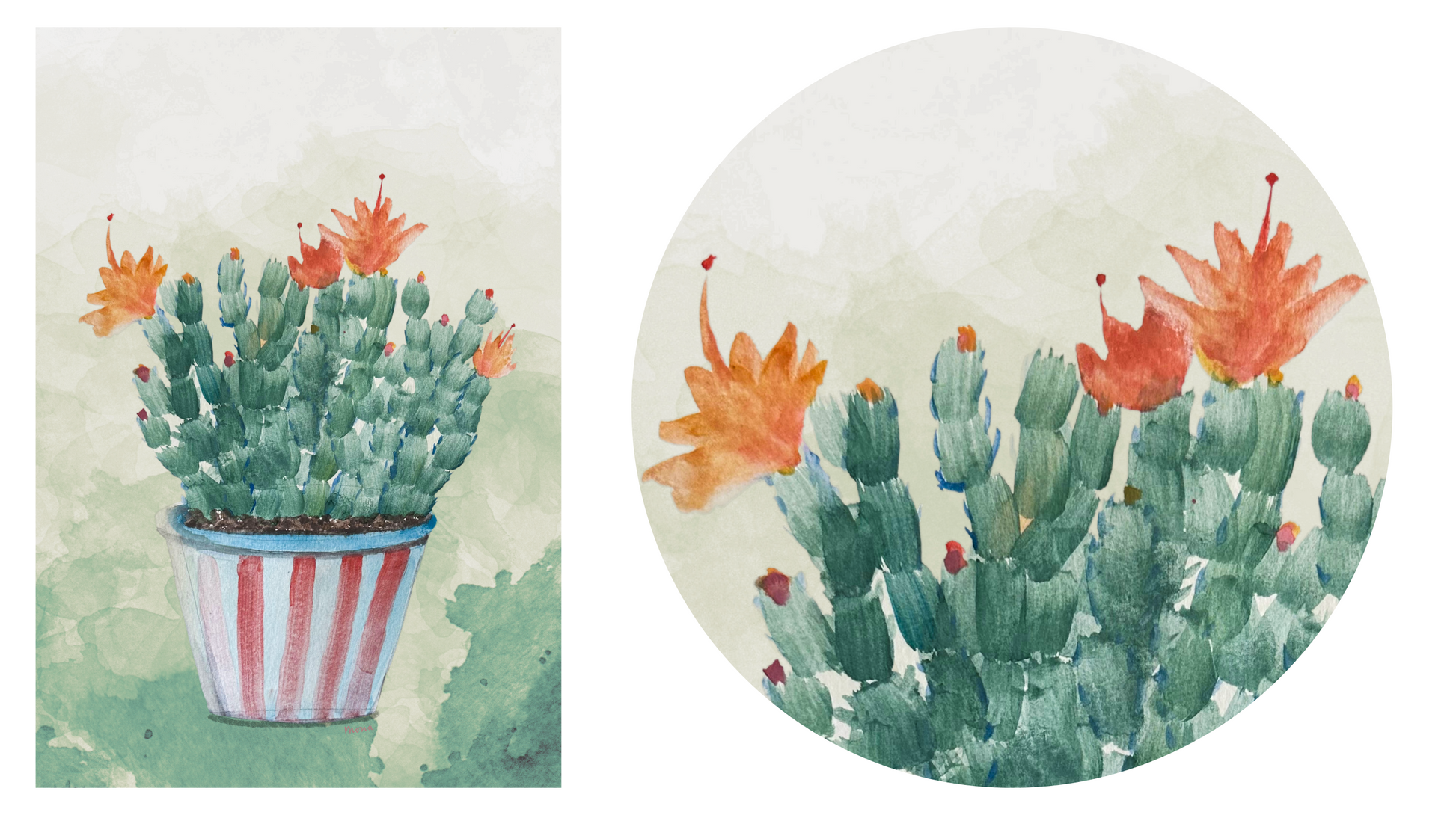 Two illustrations of cacti with flowers, one in a pot and the other on is magnified a plain background.