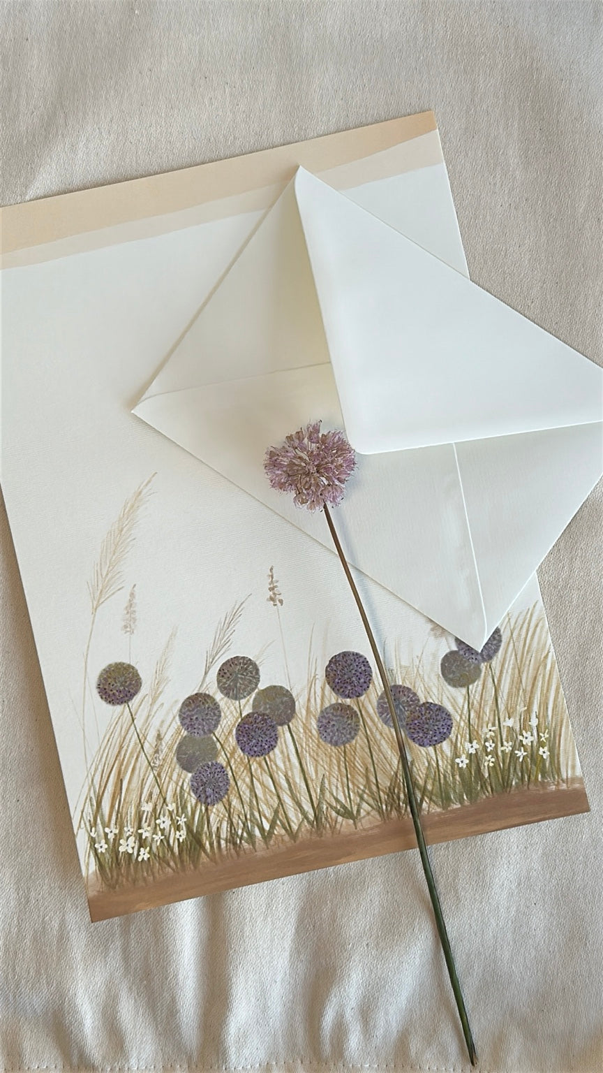 Alliums illustrated A4 letter paper with envelopes and dried allium stem