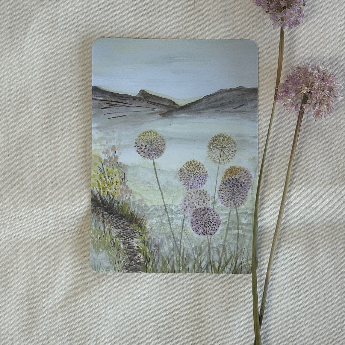 At Summer's End watercolour postcard with dried allium stems